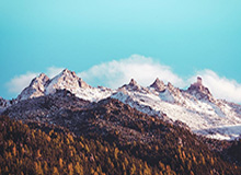 hth：健康、信任、和谐的生活之道